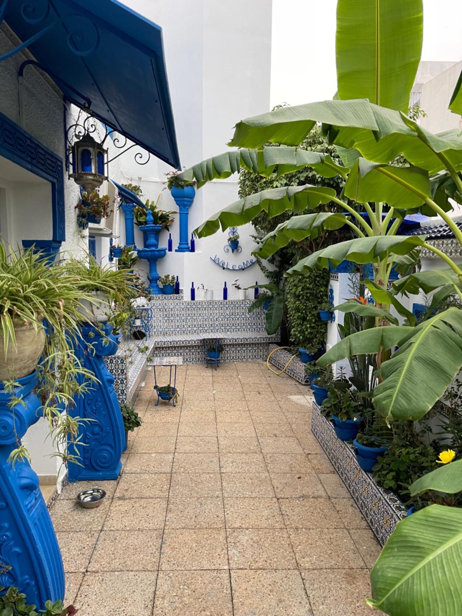 The Blue And White Perle Βίλα Sidi Bou Ali Εξωτερικό φωτογραφία