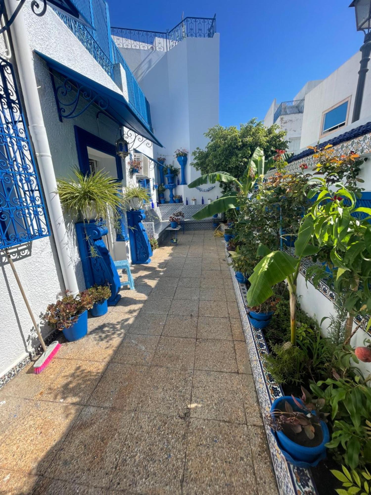 The Blue And White Perle Βίλα Sidi Bou Ali Εξωτερικό φωτογραφία