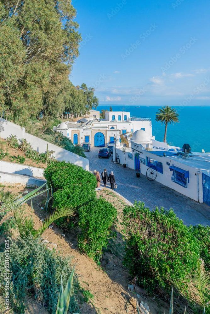 The Blue And White Perle Βίλα Sidi Bou Ali Εξωτερικό φωτογραφία
