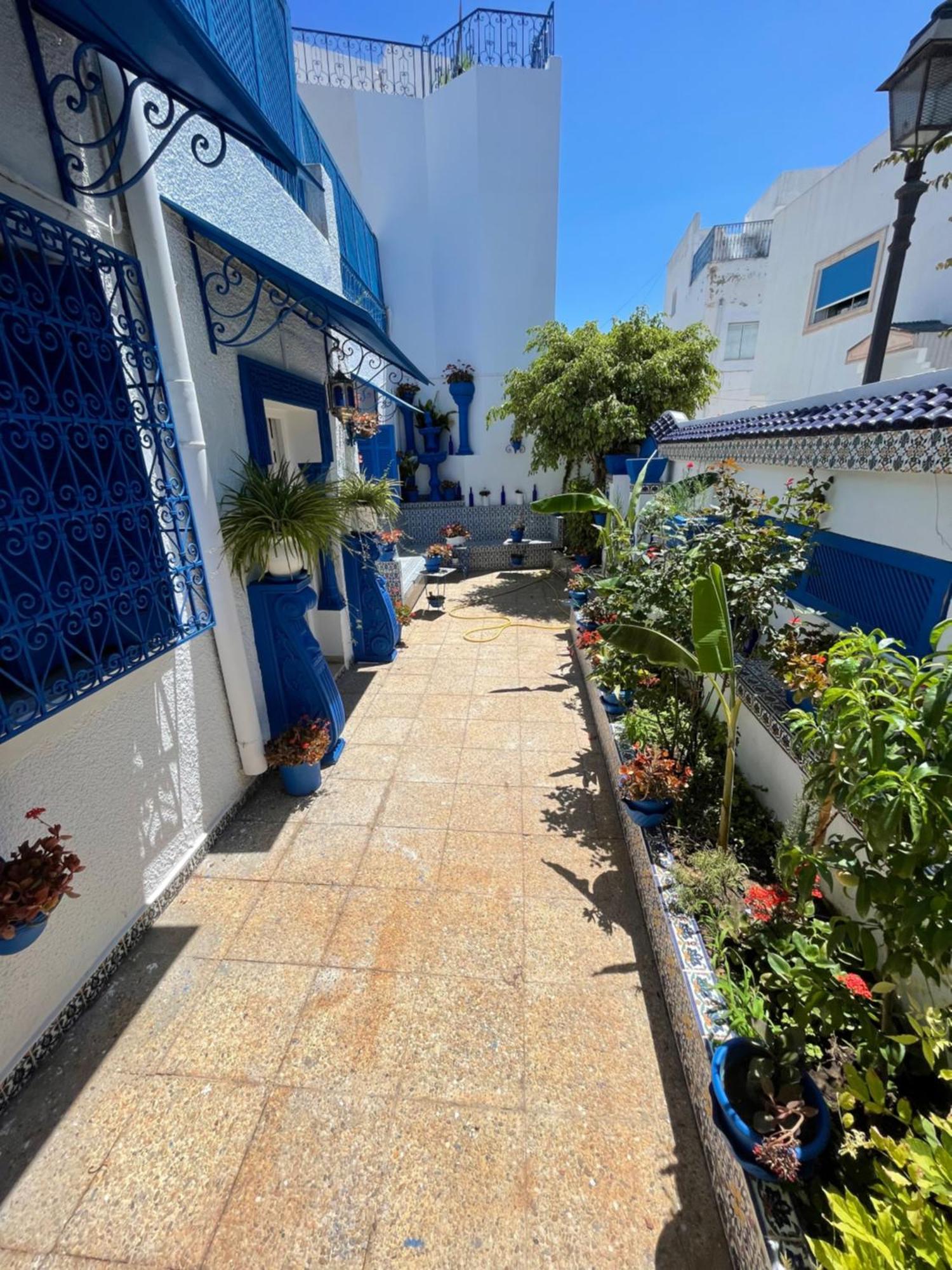 The Blue And White Perle Βίλα Sidi Bou Ali Εξωτερικό φωτογραφία